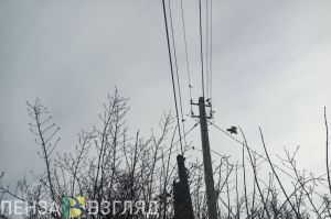 Ночью в Пензенской области похолодает до -1 градуса