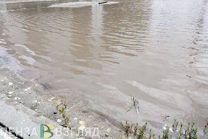 Подтопление на улице Рябова в Пензе пообещали устранить