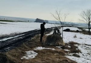 В Пензенской области за выходные выявили 6 нарушений при охоте