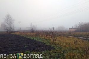 В Пензенской области на этой неделе будет минусовая температура и мокрый снег