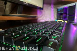 Житель Каменского района взламывал «Госуслуги» пензенцев и продавал номера