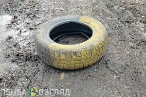 В пензенском Арбекове пройдет акция по сбору старых покрышек
