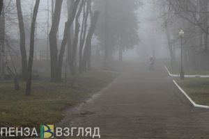 Туман и дожди ждут жителей Пензенской области 8 апреля