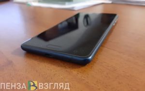 В Пензе мужчина разбил телефон, чтобы помешать расследованию