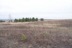 В Пензенском районе продолжат археологические исследования в 2026 году