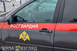 В Пензе пьяная женщина устроила дебош в баре