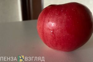 Пензенцы едят меньше овощей и фруктов, чем рекомендует Минздрав