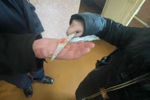 В Пензенской области женщина случайно порезала до смерти отца своего сожителя