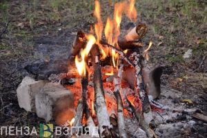 В лесах Пензенской области начался пожароопасный сезон