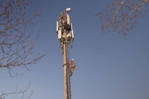 «Пилар» стал лидером башенного рынка по темпам роста и числу вышек – Telecom Daily