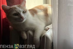 Жителям Пензенской области объяснили, как добиться перерасчета за услуги ЖКХ
