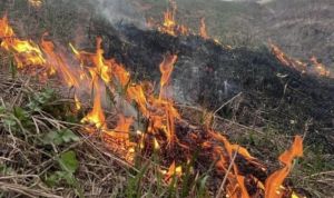 Пензенцам напомнили правила поведения в пожароопасный сезон