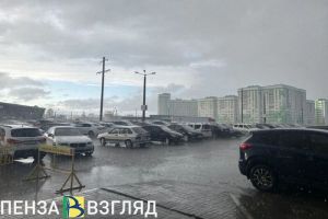 11 градусов тепла и дождь: прогноз погоды в Пензенской области на 13 апреля