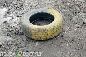 Пензенцев оштрафуют за «лебедей» из старых покрышек