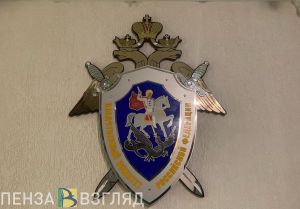 Пензенцы могут сообщить в СК о давлении на бизнес