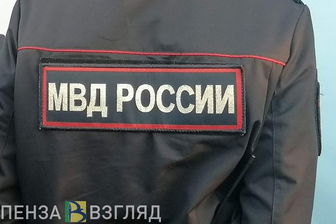 В полиции рассказали подробности драки на улице Московской в Пензе