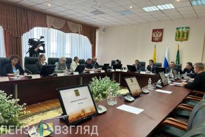 В пензенской Думе обсуждают проблемы использования питбайков на дорогах