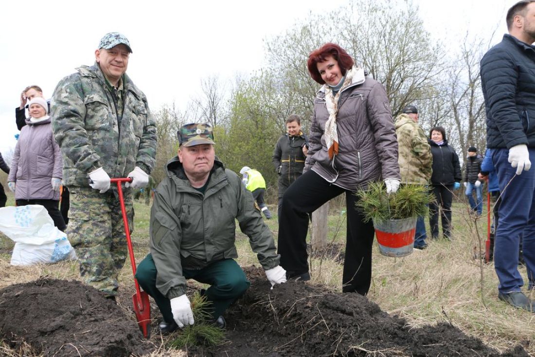 В Пензенской области высадили 4 тысячи деревьев в рамках акции «Сад памяти»