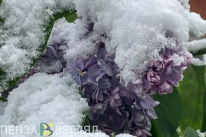 В Пензенской области 2 мая прогнозируют  мокрый снег и -2 градуса