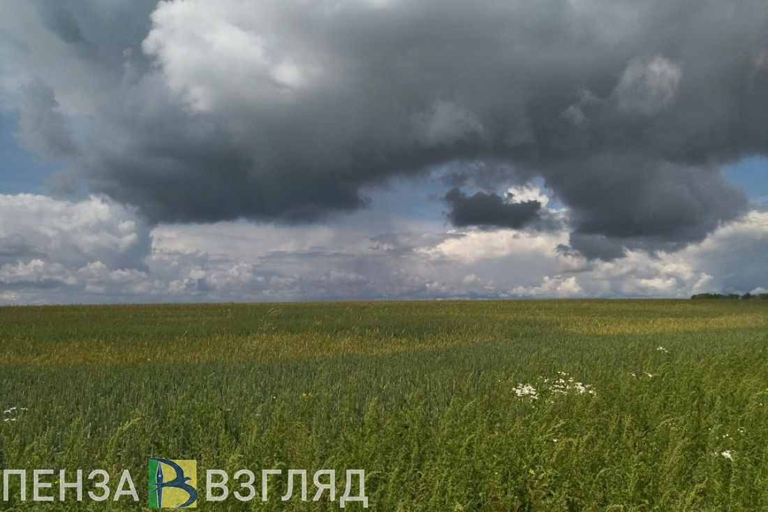 Стало известно, когда в Пензенскую область придет майское тепло