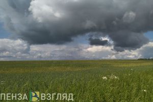 Стало известно, когда в Пензенскую область придет майское тепло