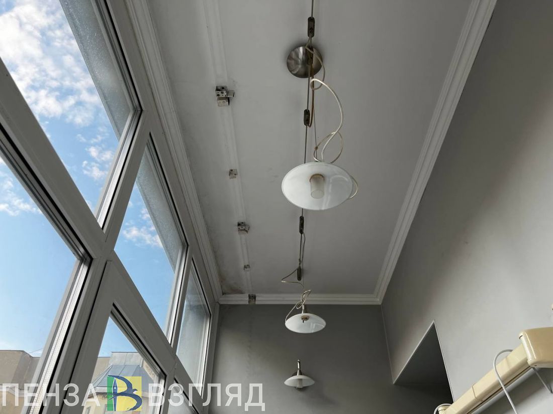 Пензенским садоводам и огородникам хотят дать льготу на электричество