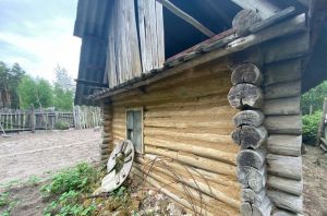Четыре лишние дела на даче в мае: как сэкономить силы и время