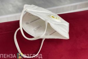 Пензенцы узнали особенности российского хантавируса