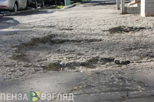Пензенским СНТ предложили выдавать деньги из бюджета для строительства дорог
