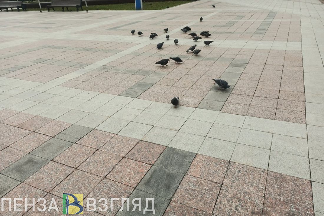 В Заречном 13 мая пройдет марафон здоровья «Ритм и движение»