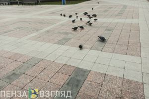 В Заречном 13 мая пройдет марафон здоровья «Ритм и движение»