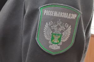 Из Пензенской области отправили в Латвию свыше 10 тысяч тонн свекловичного жома
