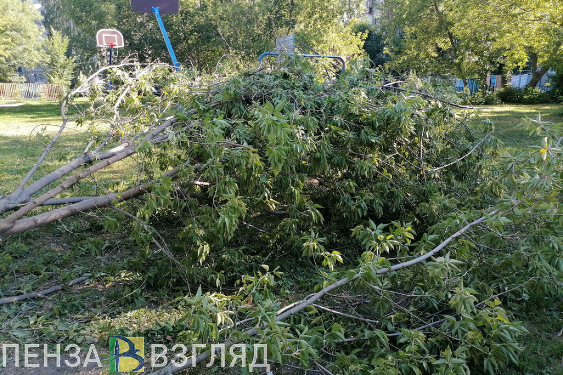 12 мая в Пензенской области ожидается желтый уровень погодной опасности