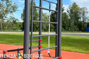 Пензенцы узнали, как получить налоговый вычет за знак ГТО