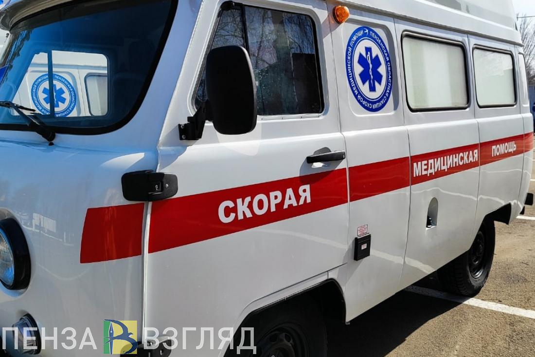 В Городищенском районе молодой водитель сбил лося и слетел в кювет
