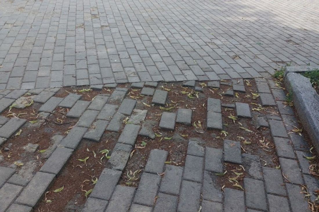 Пензенцы просят благоустроить сквер имени В.Г. Белинского