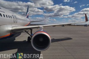 В Пензенской области 12 мая объявлена «Беспилотная опасность» и план «Ковер»