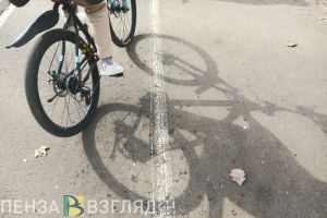 На Олимпийской аллее в Пензе проведут обработку от крыс за 141 тысячу рублей