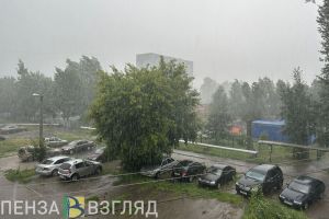 14 мая в Пензенской области будет по-летнему теплая погода с дождем