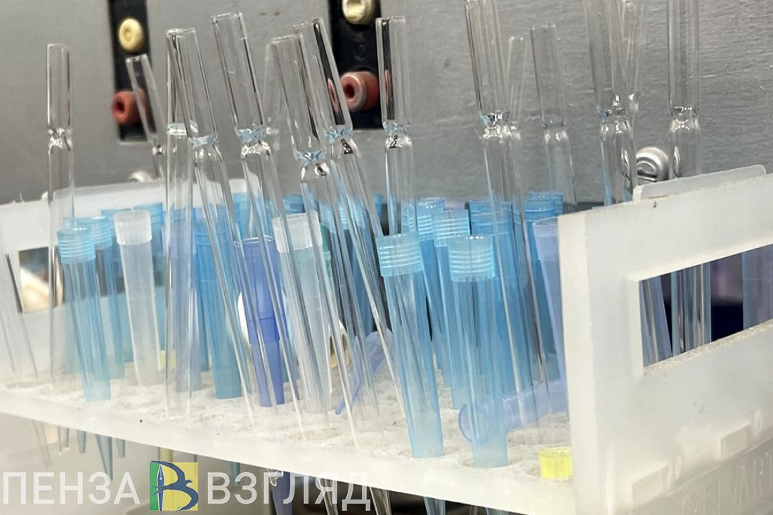 Более 40 жителей Заречного стали участниками донорской акции