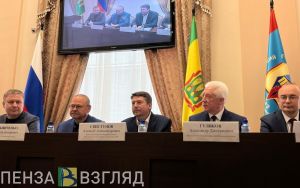 Мельниченко высказал мнение о назначении Васина на пост и.о. ректора ПГУ