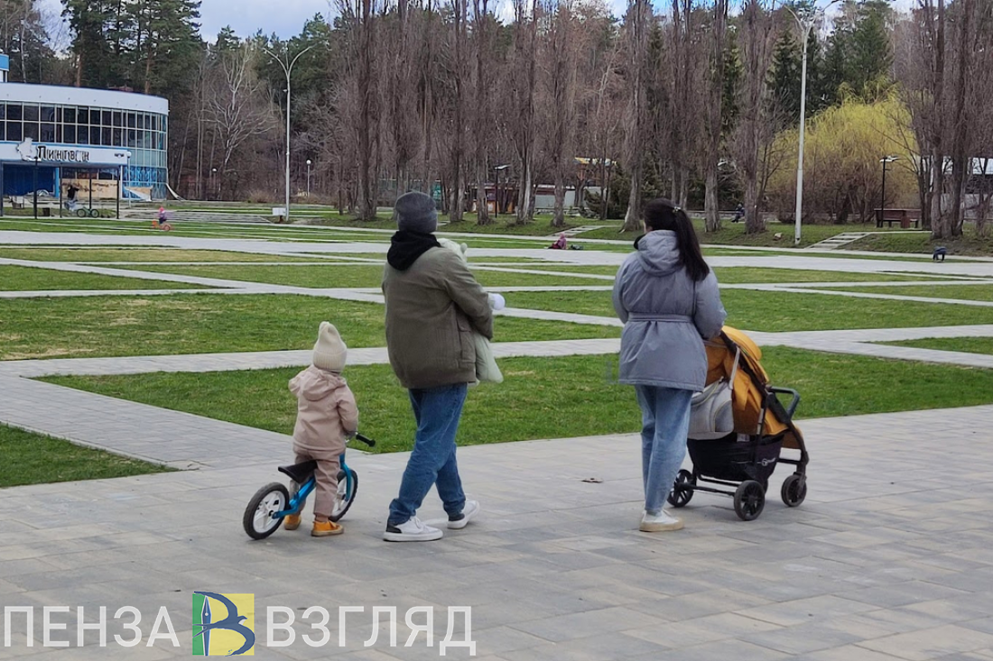 Пензенцам сообщили о запуске курса «Школа будущих родителей»