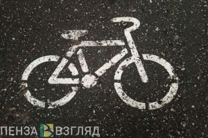 В Пензе ищут велосипедиста, сбившего 11-летнюю девочку