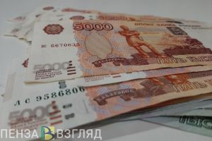 Пензенская область заняла 41-е место в стране по благосостоянию семей