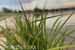 В Пензенской области 1 июня стартует купальный сезон