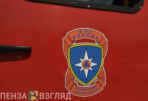 В Пензенской области за неделю произошло 24 пожара: есть погибший