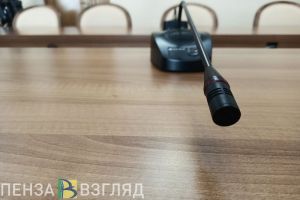 В Пензенской области утверждена новая структура исполнительной власти