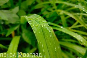 В Пензенской области 2 июня пройдут грозы с градом