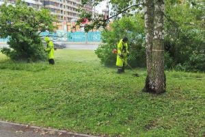 В Пензе 20 осужденных заняты благоустройством городских территорий