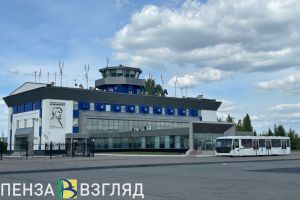 Пензенцам напомнили о 50-процентной скидке на авиабилеты для детей до 12 лет